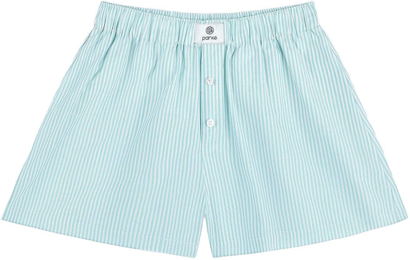 striped boxer shorts flat lay -mint stripe